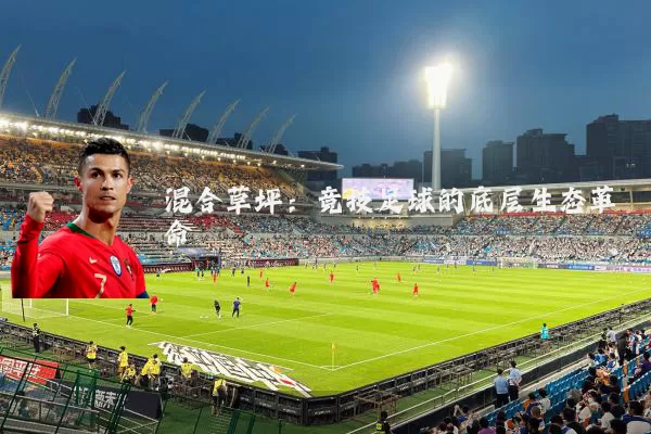 混合草坪：竞技足球的底层生态革命